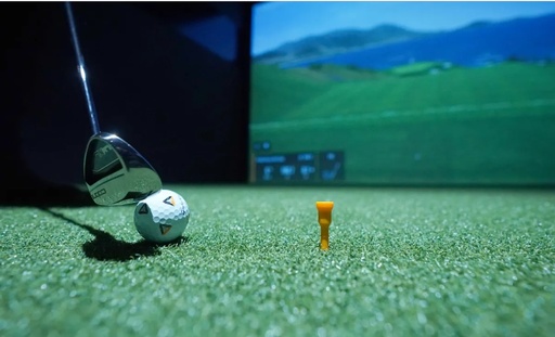 Virtual Golf